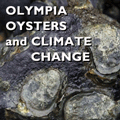 Oysters_and_climate 