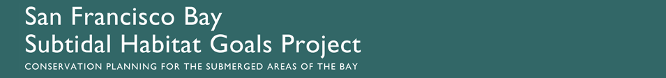 San Francisco Bay Subtidal Habitat Goals Project: Conservation Planning for the Submerged Areas of the Bay